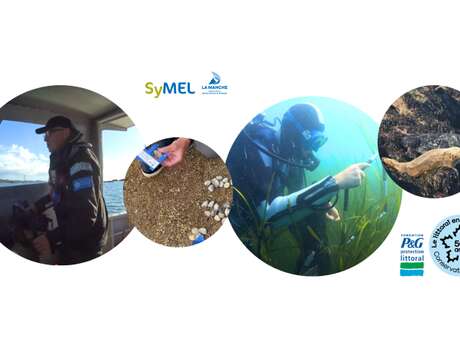 Les missions du SyMEL en mer : gestion, sensibilisation, suivis scientifiques et présentation du projet ZIPACh - conférence