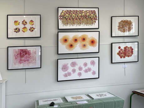 Exposition "Fleurs et jardins imaginaires" par Marc Théréné