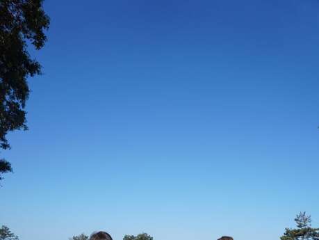 Activité de pleine nature - marche nordique