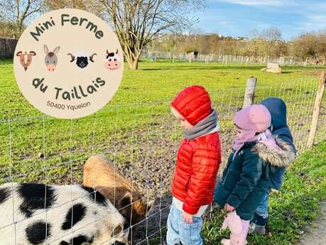 Visite de la ferme du Taillais - sans réservation