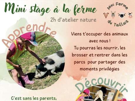 Mini-stage à la ferme