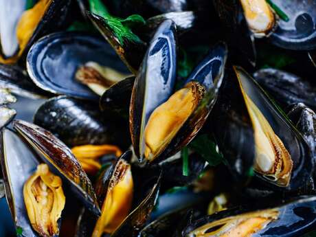 Concert : Duo Fusion + moules frites