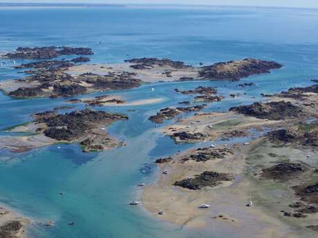 Les enjeux environnementaux de l'océan