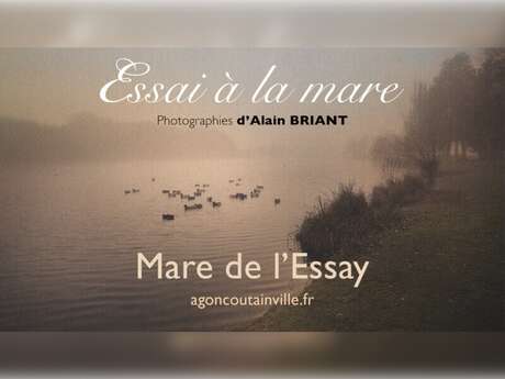 Photographe, Alain Briant "Essai à la mare"