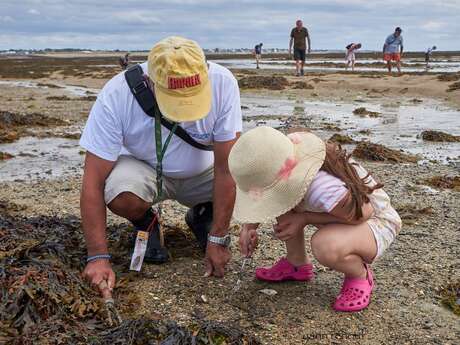 Expérience de Destination : Initiation pêche à la marque pour récolter des palourdes