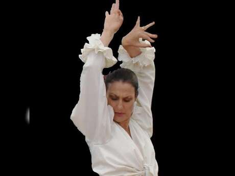 Initiation au flamenco