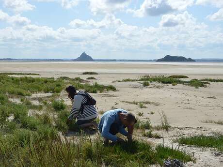 Aquaterria - Cueillette en Baie du Mont Saint-Michel