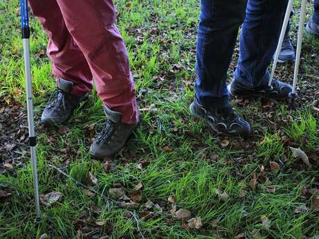 Randonnée pédestre