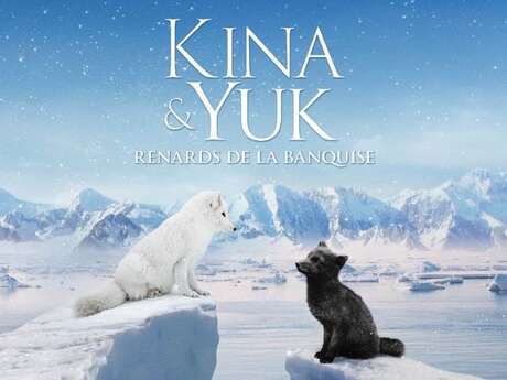 Projection "Kina & Yuk: renards de la banquise"