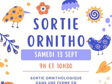 Sortie Ornitho