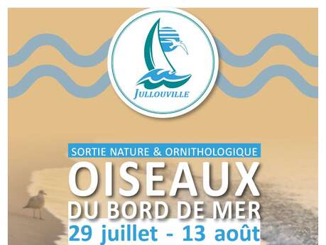 Sortie ornithologique : Les oiseaux du bord de mer