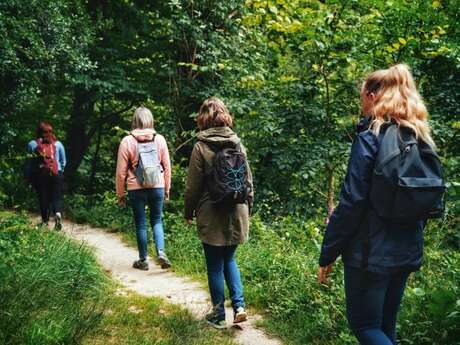 Expérience de Destination : J’éveille mes sens au cœur de la Forêt de la Lucerne