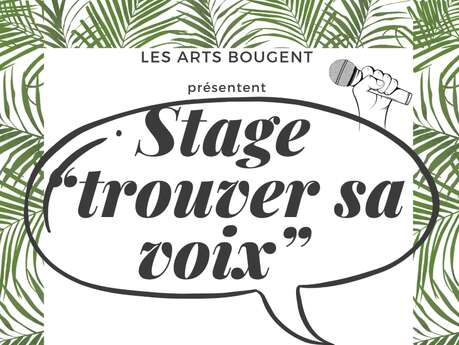 Stage "trouver sa voix"
