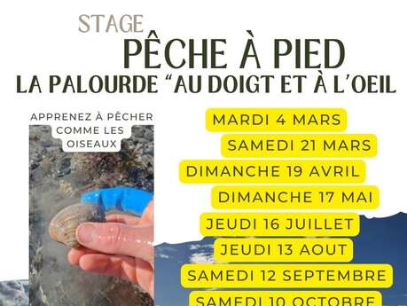 Initiation pêche à pied au doigt et à l'oeil