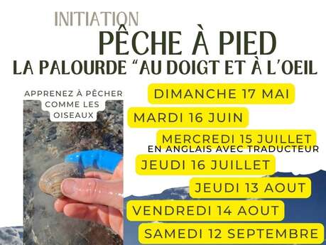 Initiation pêche à pied