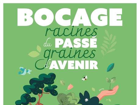 Les rôles de la haie