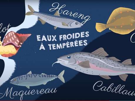 P'tite visite sur les poissons