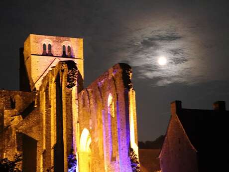 Nuit des musées / Pierres en lumières