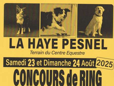 Concours canins