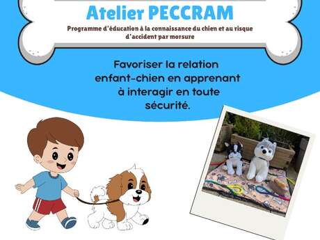 Atelier ludique pour comprendre le comportement canin
