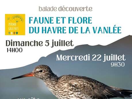 Balade découverte de la faune et de la flore du Havre de la Vanlée