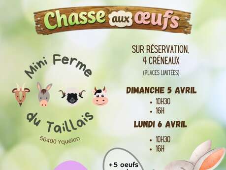 Chasse aux oeufs