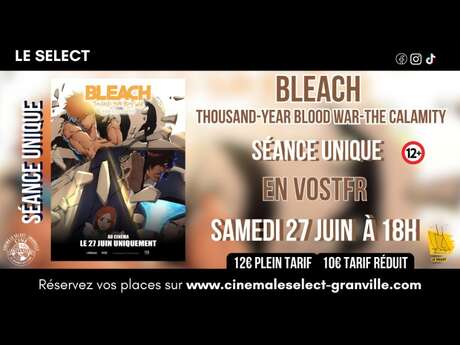 Séance spéciale - Bleach
