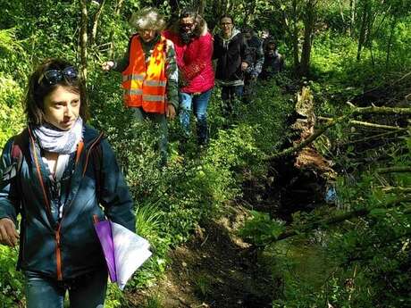 Histoire du bocage