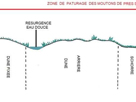 Comprendre le Havre de la Vanlée par sa flore