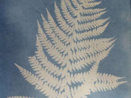 [Atelier] Découverte du cyanotype