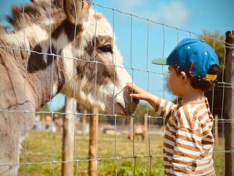 La Mini Ferme du Taillais