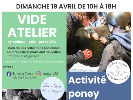 Vide atelier et activité avec les poneys