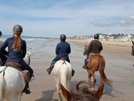 Centre Equestre de Kairon-Plage