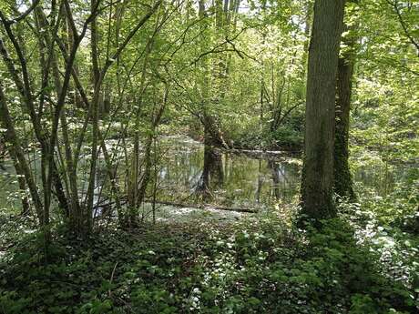 Vendredis "nature" : de l'argile au pot