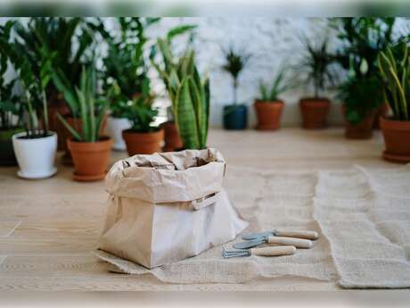 Troc de plantes
