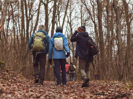 Balade familiale au profit du Téléthon Balade familiale au profit du Téléthon