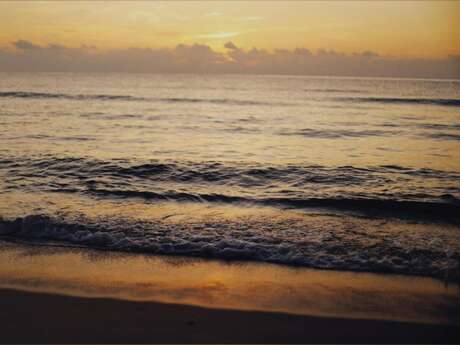 Contes à tous vents