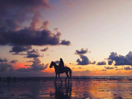 Promenade à cheval au coucher de soleil - débutant