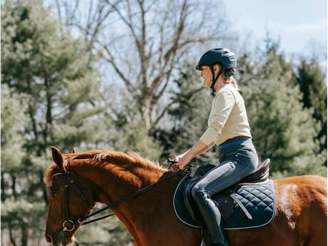 Journée de horse-ball