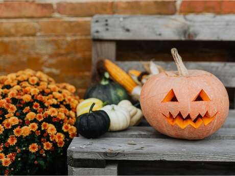 Journée des enfants : atelier citrouilles d'Halloween