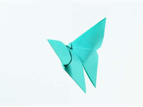 Partir en livre : atelier Origami "Ma collection d’insectes"