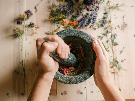 Stage plantes (aromathérapie et fabrication de produits)