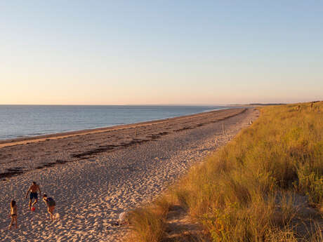 Plage de Bricqueville-sur-Mer