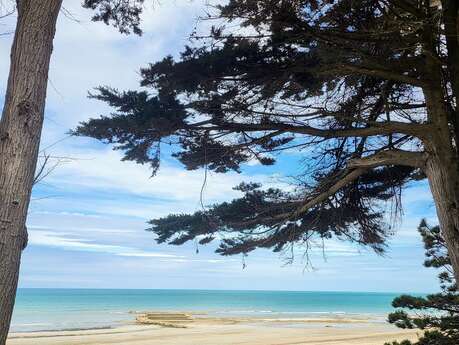 Plage de la Pointe du Lude