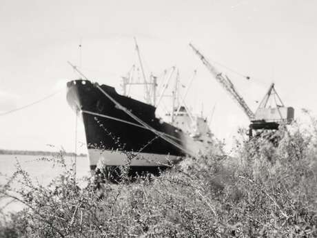 Marche au crépuscule et présentation du livre Gatteville, volume 3 des éditions Trait vague avec Pierre-Yves Racine