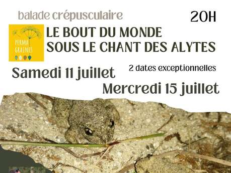 Soirée découverte de la nature du Havre de la Vanlée sous le chant des Alytes