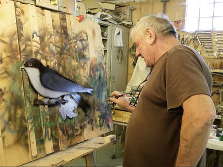 Exposition " En silence, les oiseaux vous parlent"