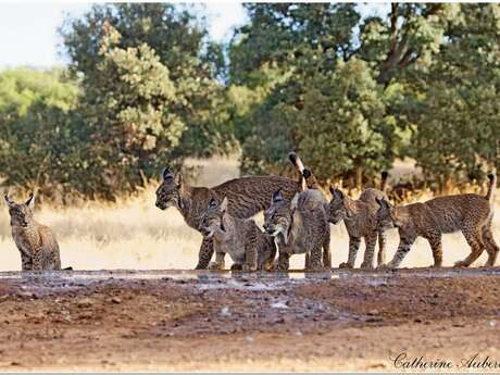 Exposition photos "Magnifique nature"