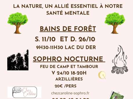 Sophro nocturne en forêt