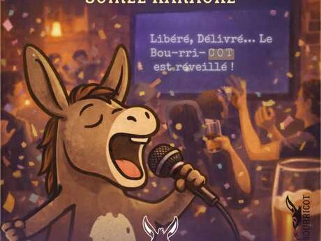 Soirée Karaoké au Bourricot
